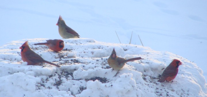 ???????????????????????????????