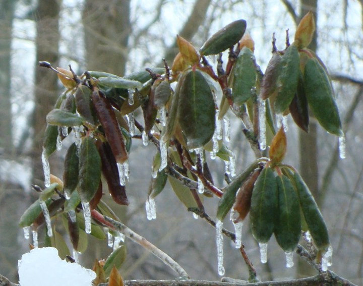 ???????????????????????????????