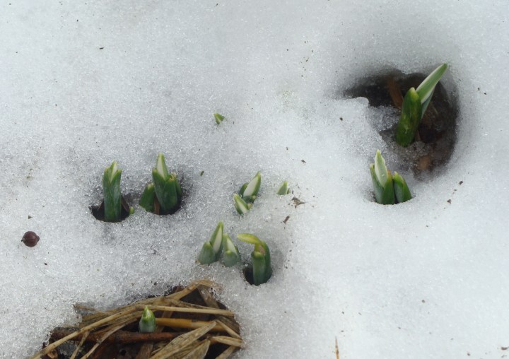 ???????????????????????????????