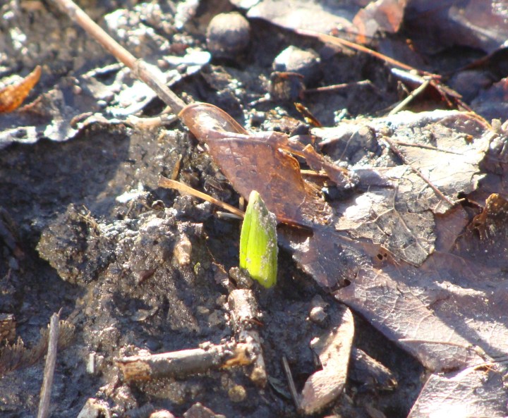 ???????????????????????????????