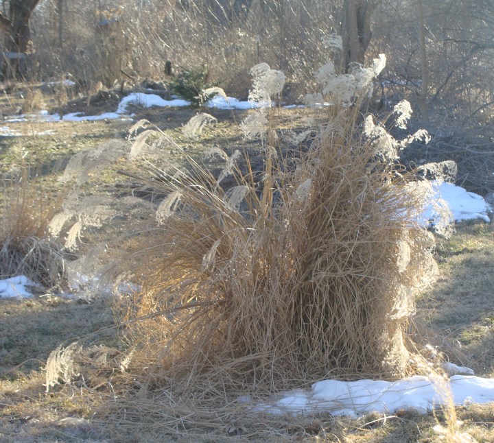 ???????????????????????????????