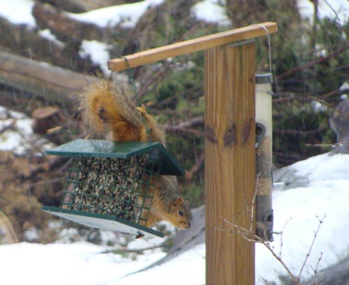 ???????????????????????????????