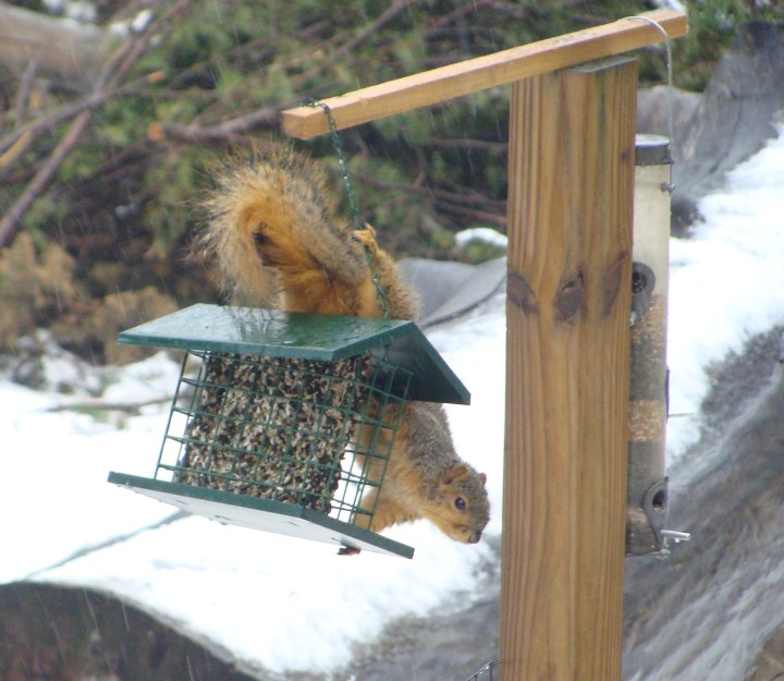 ???????????????????????????????