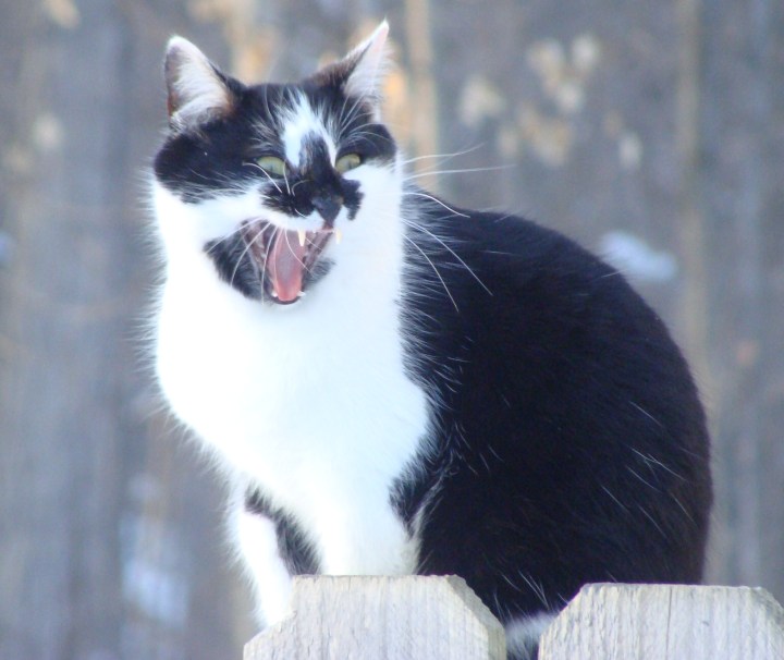 ???????????????????????????????