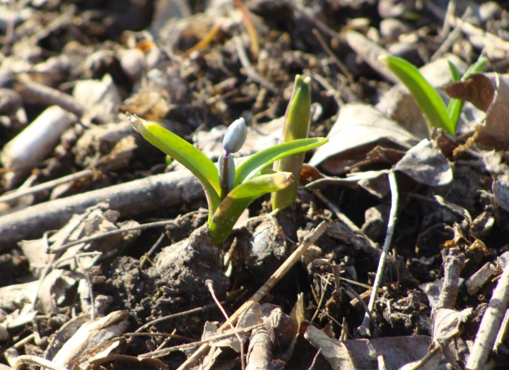 ???????????????????????????????