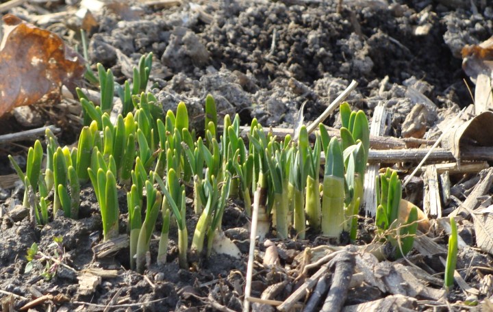 ???????????????????????????????