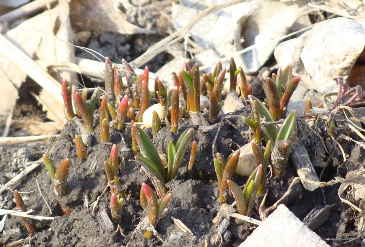 ???????????????????????????????