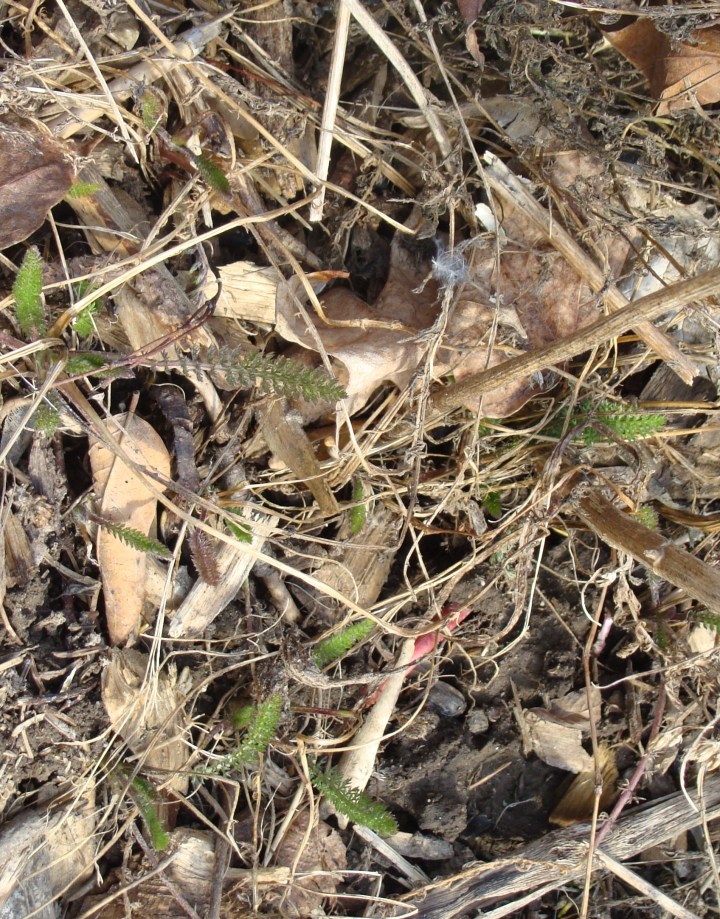 ???????????????????????????????