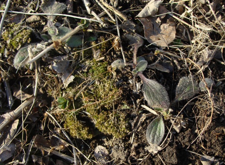 ???????????????????????????????