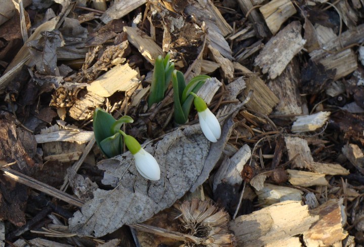 ???????????????????????????????