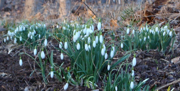 ???????????????????????????????