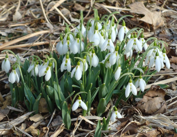 ???????????????????????????????