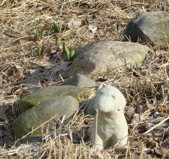 ???????????????????????????????