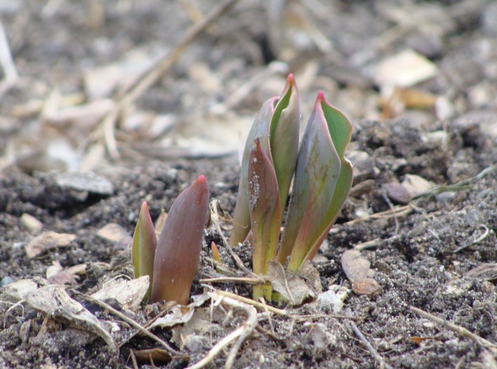 ???????????????????????????????