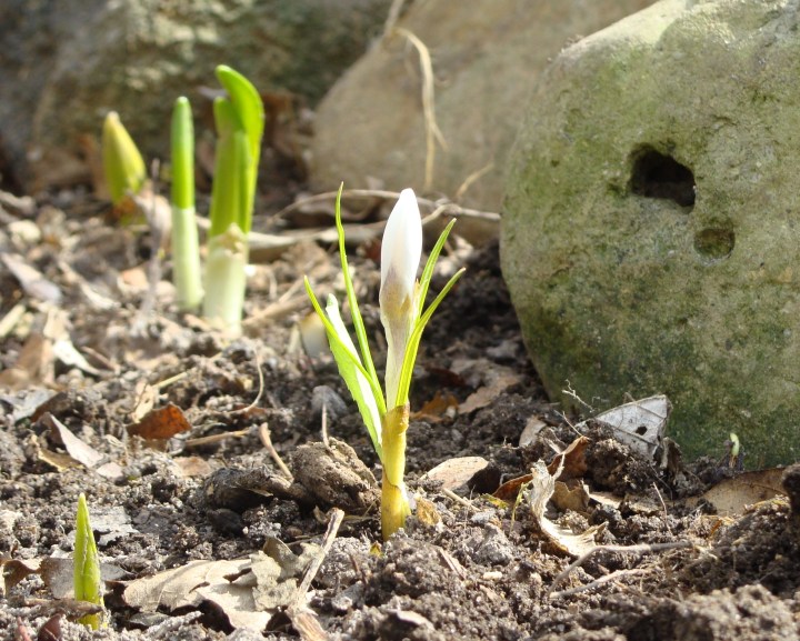 ???????????????????????????????