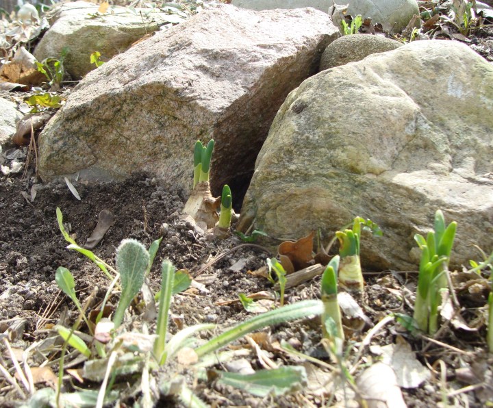 ???????????????????????????????