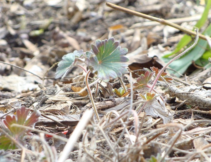 ???????????????????????????????