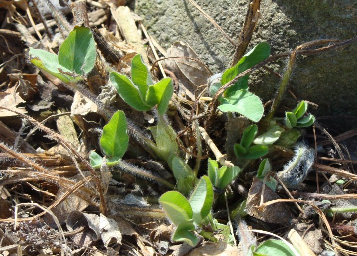 ???????????????????????????????