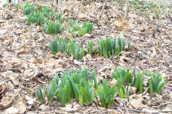 ???????????????????????????????