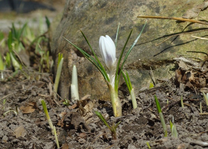 ???????????????????????????????