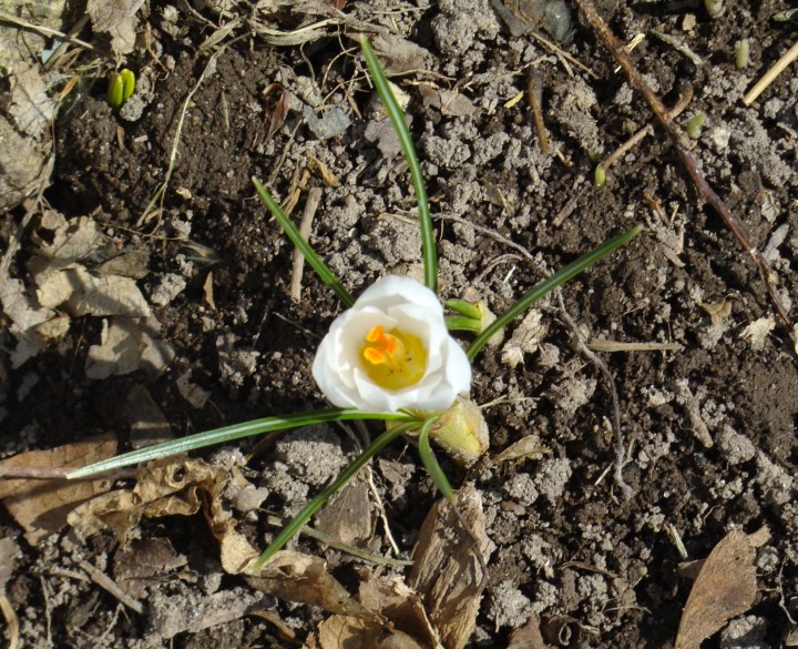 ???????????????????????????????