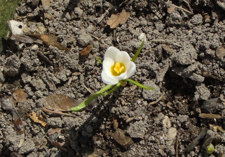 ???????????????????????????????