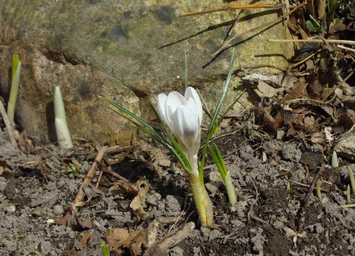 ???????????????????????????????