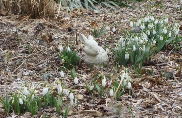 ???????????????????????????????