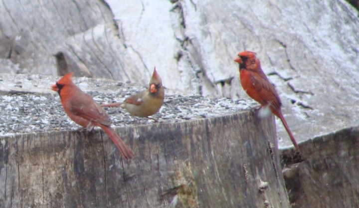 ???????????????????????????????