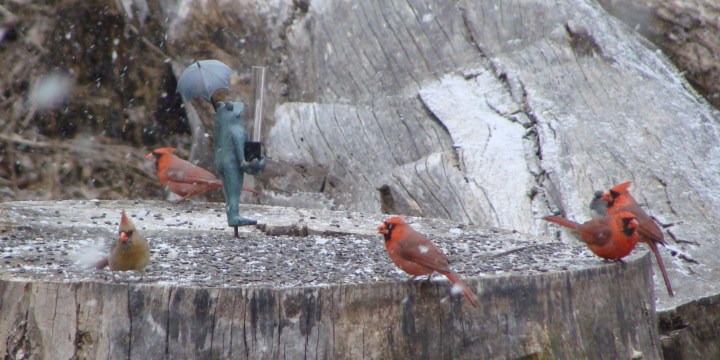 ???????????????????????????????