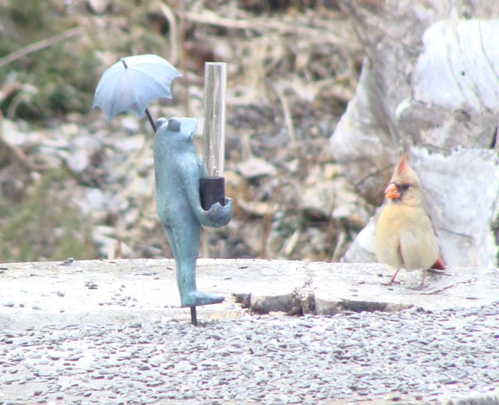 ???????????????????????????????