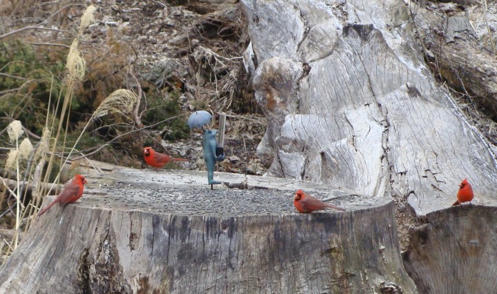 ???????????????????????????????