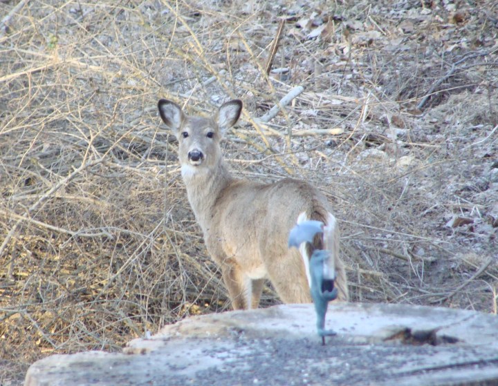 ???????????????????????????????