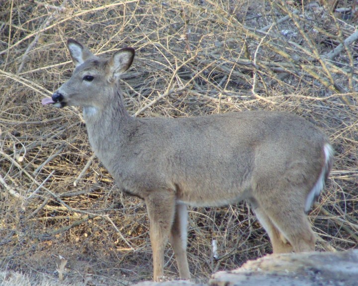 ???????????????????????????????