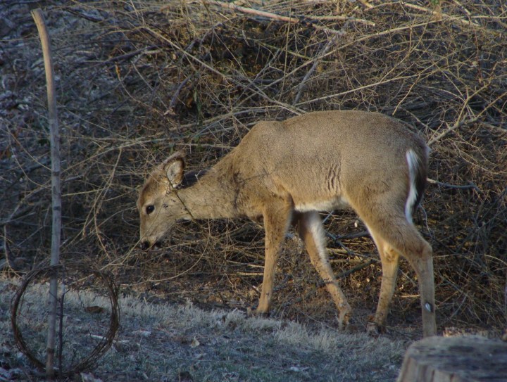 ???????????????????????????????