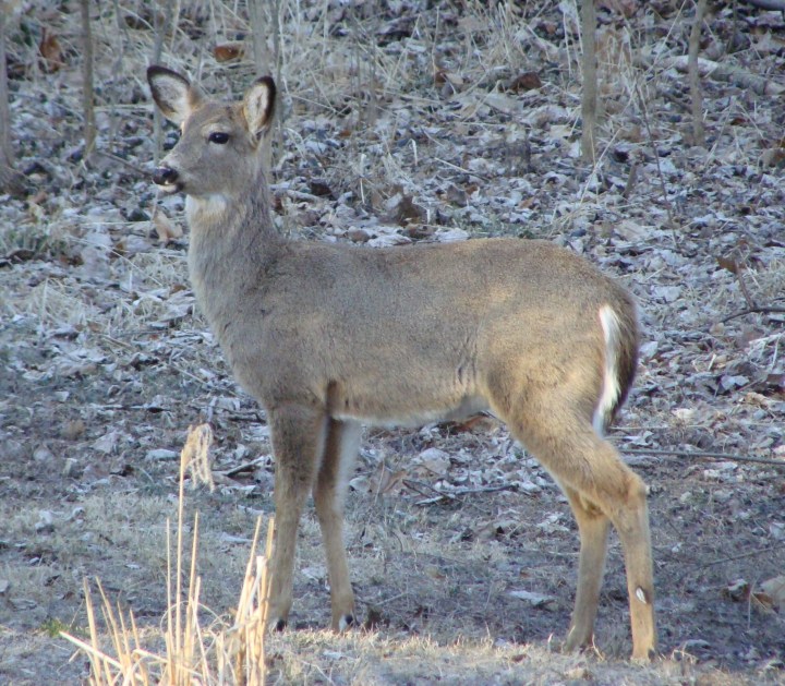 ???????????????????????????????