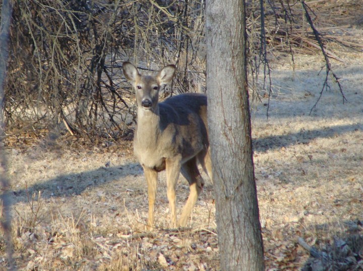 ???????????????????????????????