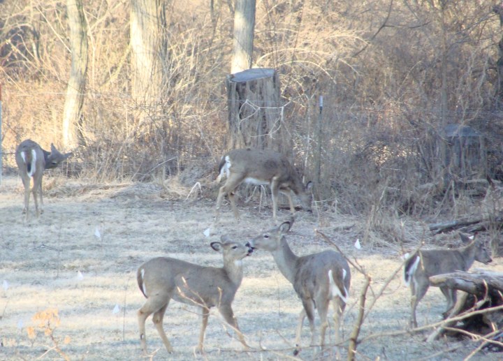 ???????????????????????????????