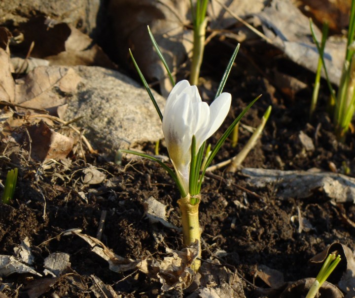 ???????????????????????????????