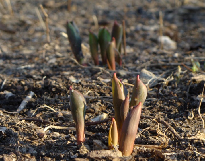 ???????????????????????????????