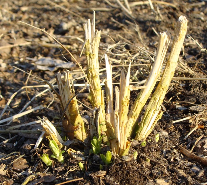 ???????????????????????????????