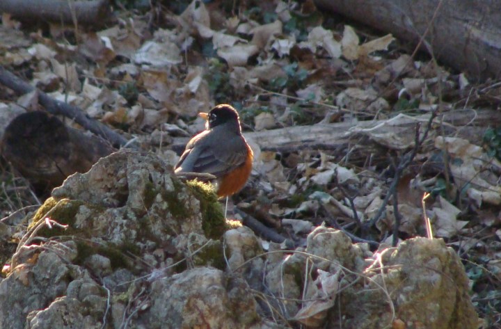 ???????????????????????????????