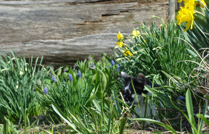 ???????????????????????????????