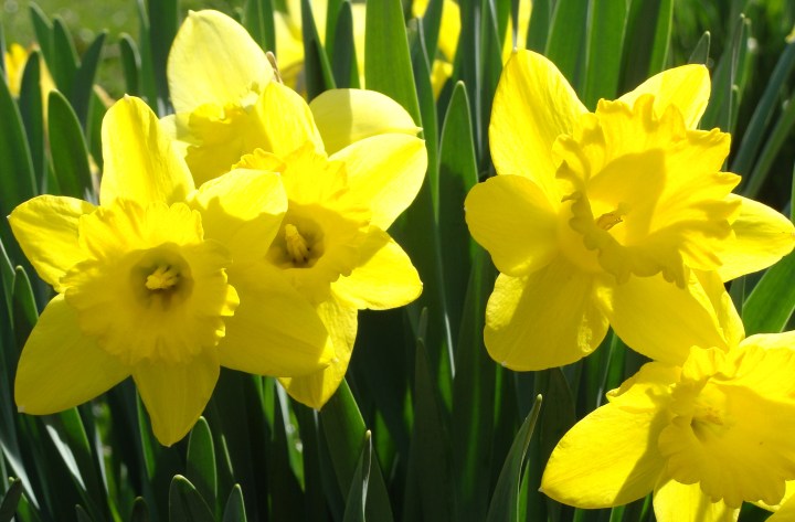 ???????????????????????????????