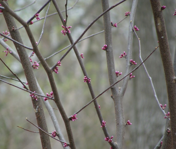 ???????????????????????????????