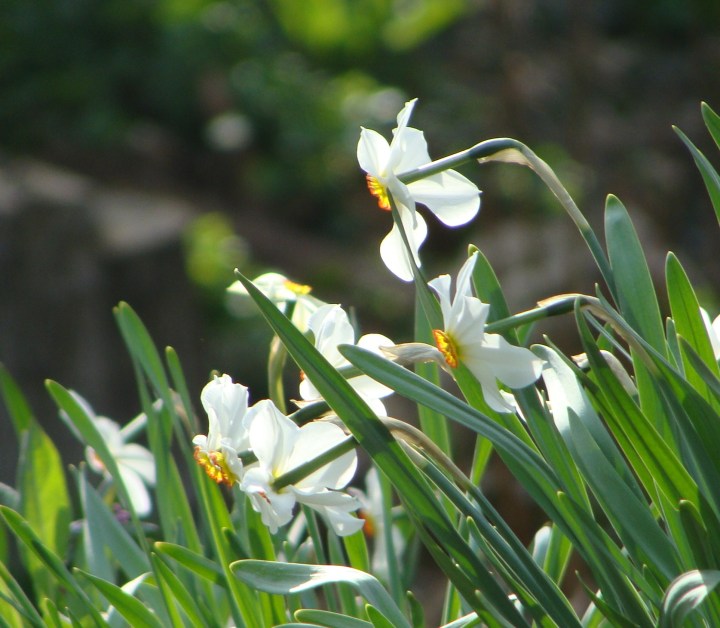 ???????????????????????????????