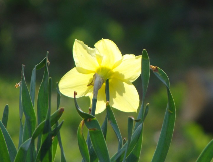 ???????????????????????????????