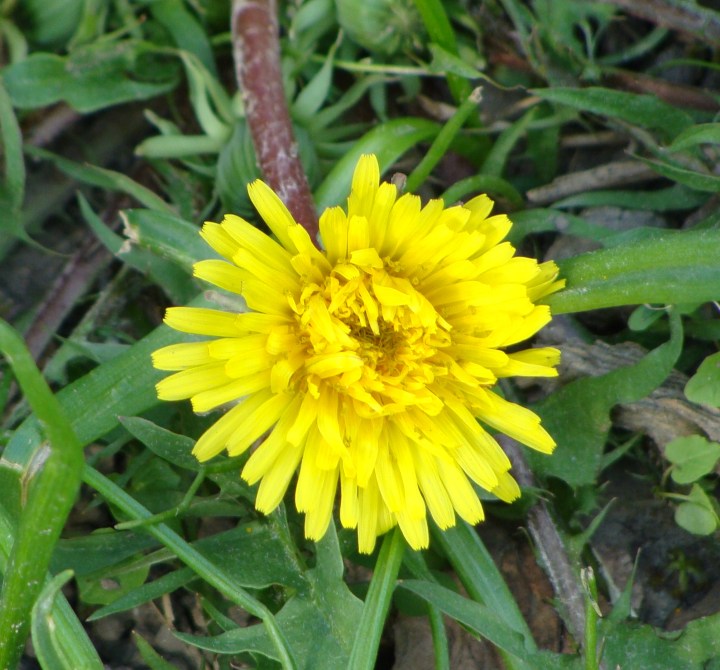 ???????????????????????????????