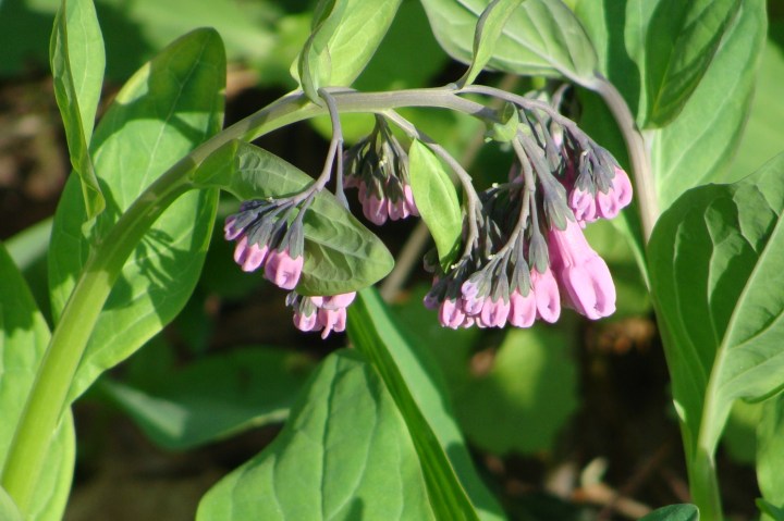 ???????????????????????????????