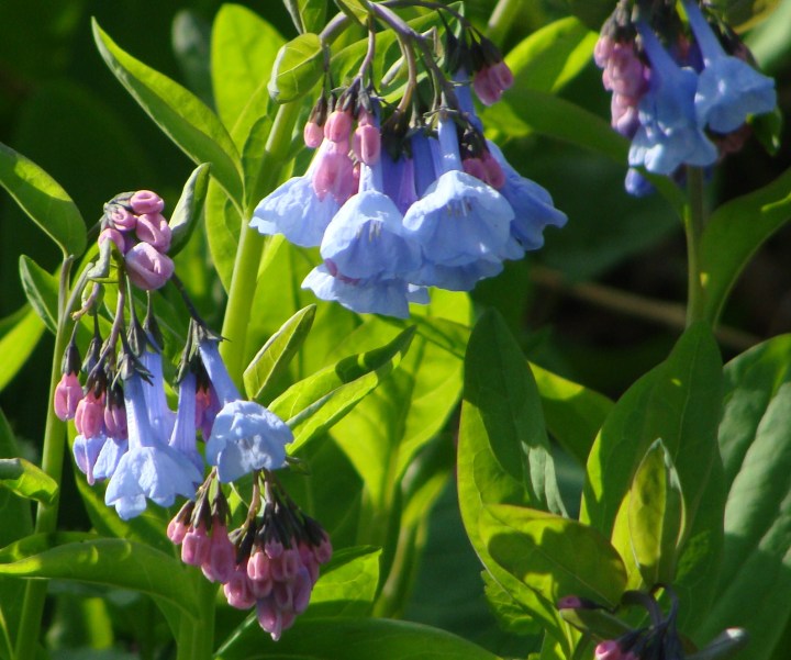 ???????????????????????????????